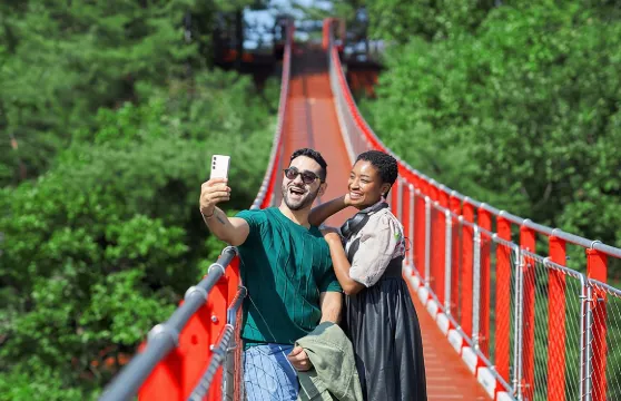 首爾出發韓國最佳非軍事區觀光團（可選紅吊橋行程）