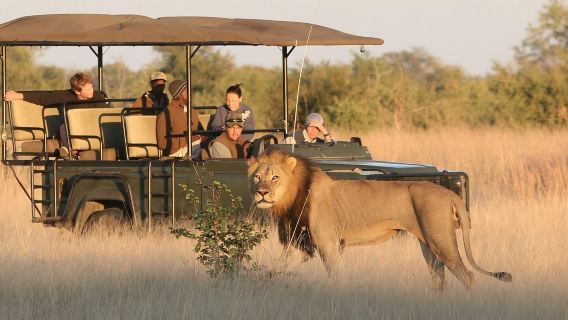 Chuyến đi trong ngày đến Hwange (Safari) từ Thác Victoria