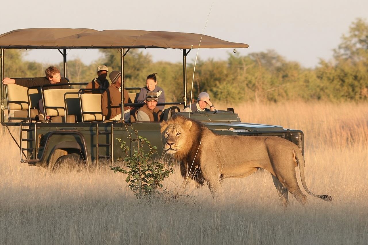 Hwange (Safari) Day Trip from Victoria Falls