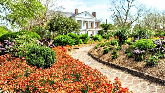 Boone Hall Plantation All-Access Admission Ticket