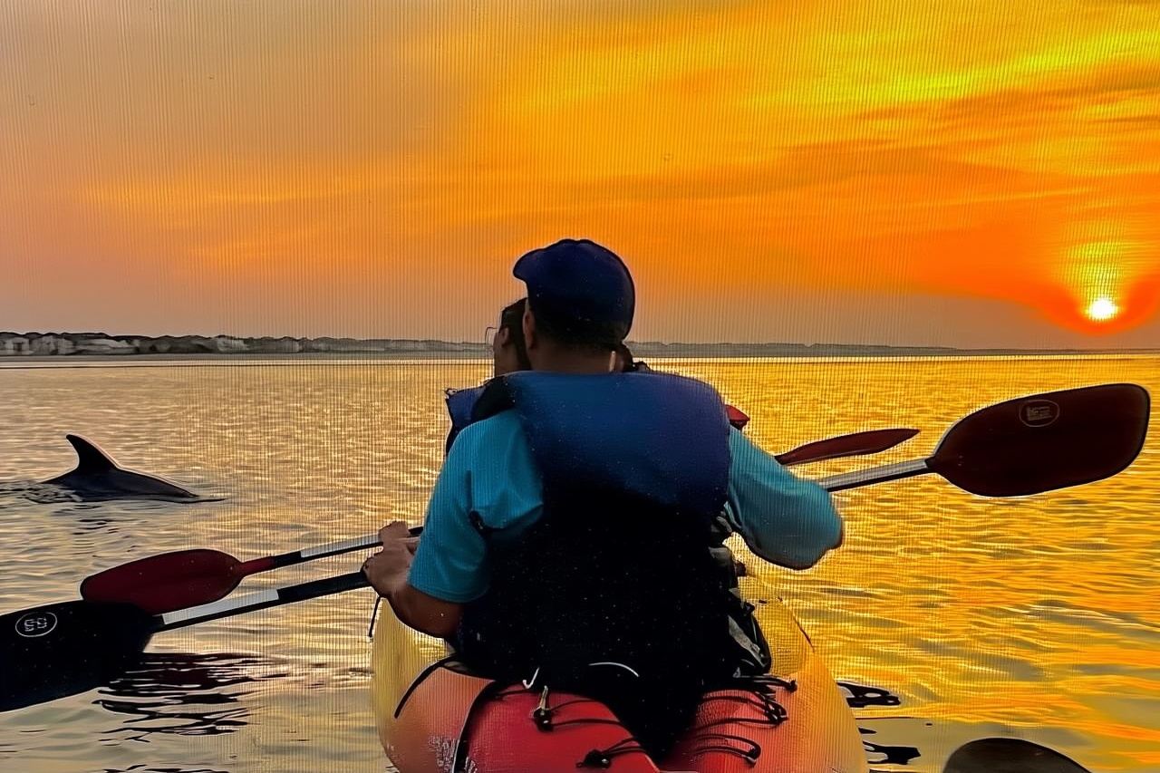 Sunset Bioluminescent Comb Jelly & Dolphin Tour