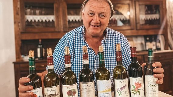 Tasting of 7 wines in the Langhe and visit to the cellar