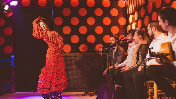 Flamenco show and tapas dinner