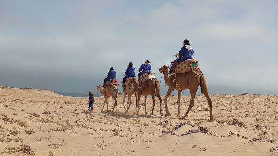 Camel Ride Experience in Dakhla's Desert Landscape