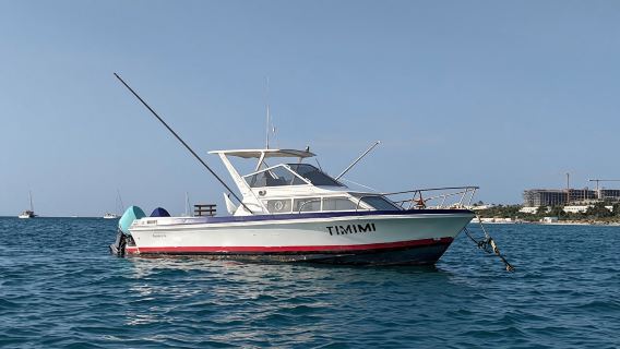 Deep sea fishing half-day tour in Zanzibar
