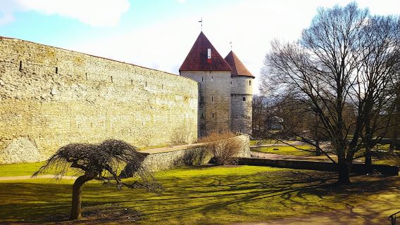 Self-guided Discovery Walk in Tallinn legends of the Old Town