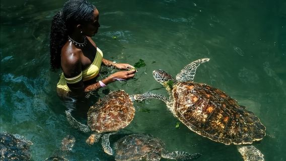 Excursión privada de día completo a Zanzíbar con playa al atardecer