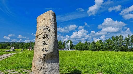 漠河北極村+中國最北郵政局+最北哨所+松苑公園一日遊