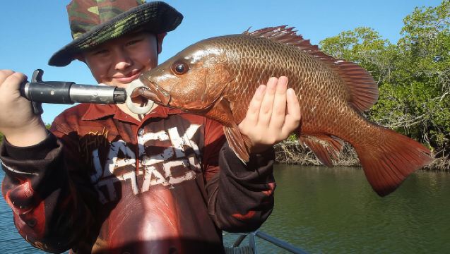 Out n About Sportfishing für geteilte und private Chartertouren auf Riffen und in Flussmündungen