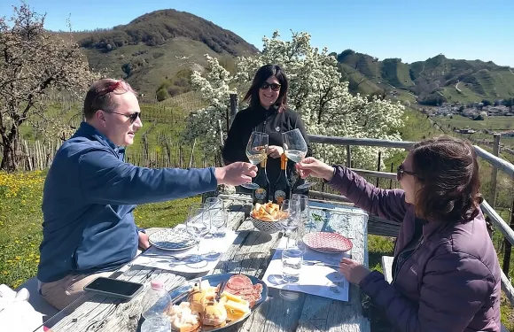 普羅賽克葡萄酒之旅（侍酒師陪同）－特雷維索接送服務