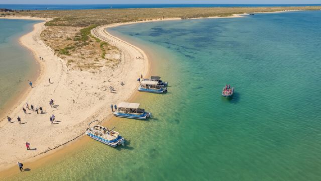 Ilha Deserta and Farol Island: a small group boat trip in Ria Formosa from Faro