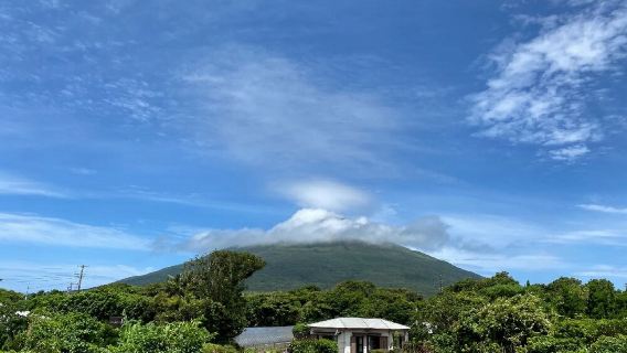 日本東京+伊東+大室山一日遊/行程可調-可訂製多日遊