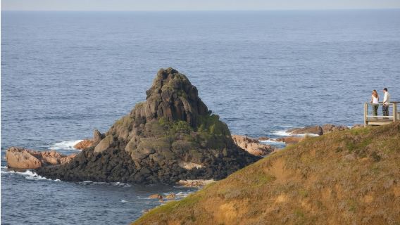企鵝歸巢+觀賞野生動物+菲利普島一日遊（墨爾本出發）