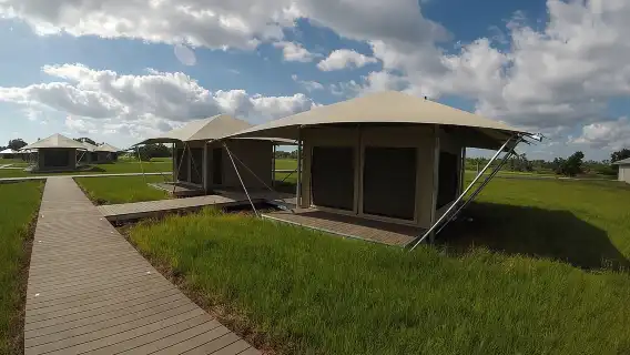 Flamingo Everglades Boat Tours