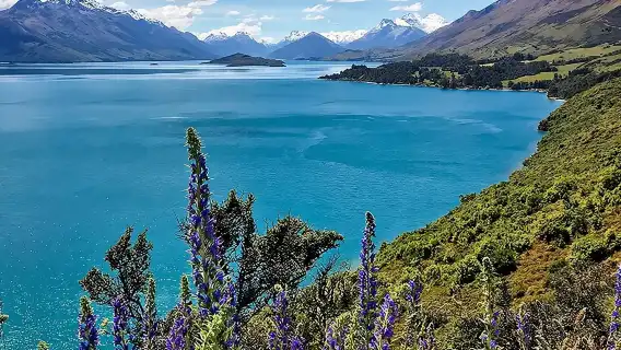 Full Day in Middle Earth - Lord of the Rings Tour