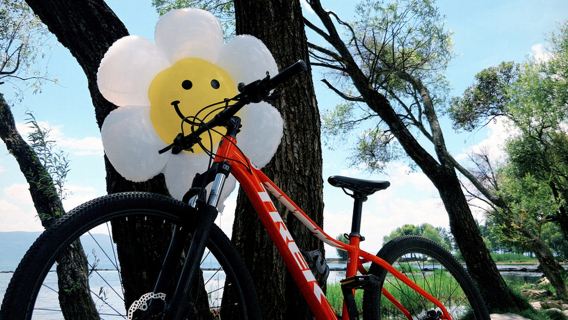 「bikego」大理洱海單車騎乘體驗· 和「騎乘體驗老砲」一起去追風