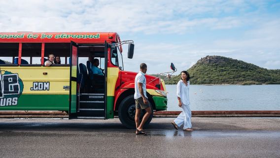 คูราเซา: ชมนกฟลามิงโก บ้านคูนูกู และทัวร์ชายหาด