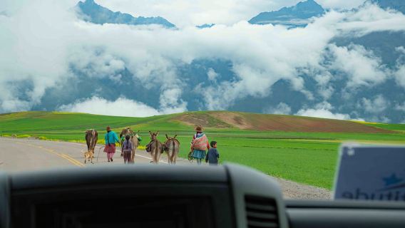 Da Cusco: tour della Valle Sacra e delle miniere di sale di Maras con pranzo