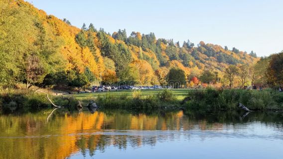 西雅圖一日遊:水族館+奧林匹克雕塑公園+煤氣廠公園+金色公園