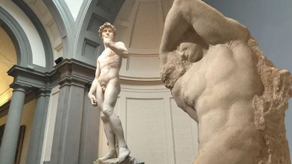 Флоренция: входной билет в галерею Академии с дополнительной экскурсией