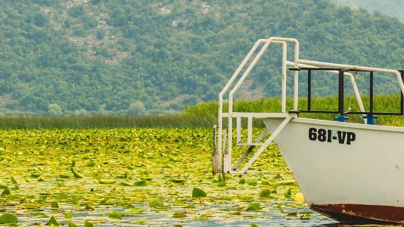 Lago di Scutari: breve gita in barca alla fortezza di Grmožur con bevande