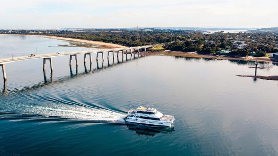 Phillip Island: Pelayaran Pemandangan Cape Woolamai 1 Jam