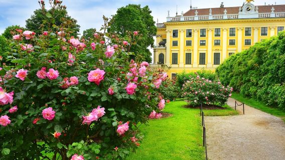 Vienna: tour dei giardini di Schönbrunn con visita facoltativa al palazzo