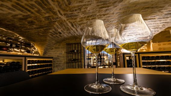 Dijon: La Cave du Palais Burgundy Wine Tasting Experience