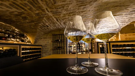 Digione: Esperienza di Degustazione di Vini della Borgogna alla Cave du Palais