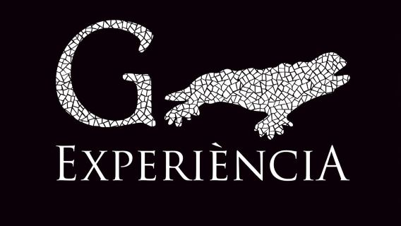 Gaudí Experiència Barcelona Admission Ticket