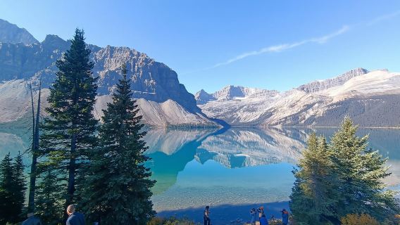 Icefield: Bow Lake, Columbia Icefield, Peyto Lake Day Tour