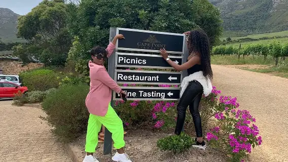 ทัวร์เต็มวัน Cheetah Outreach และ Winelands ที่ได้รับรางวัล