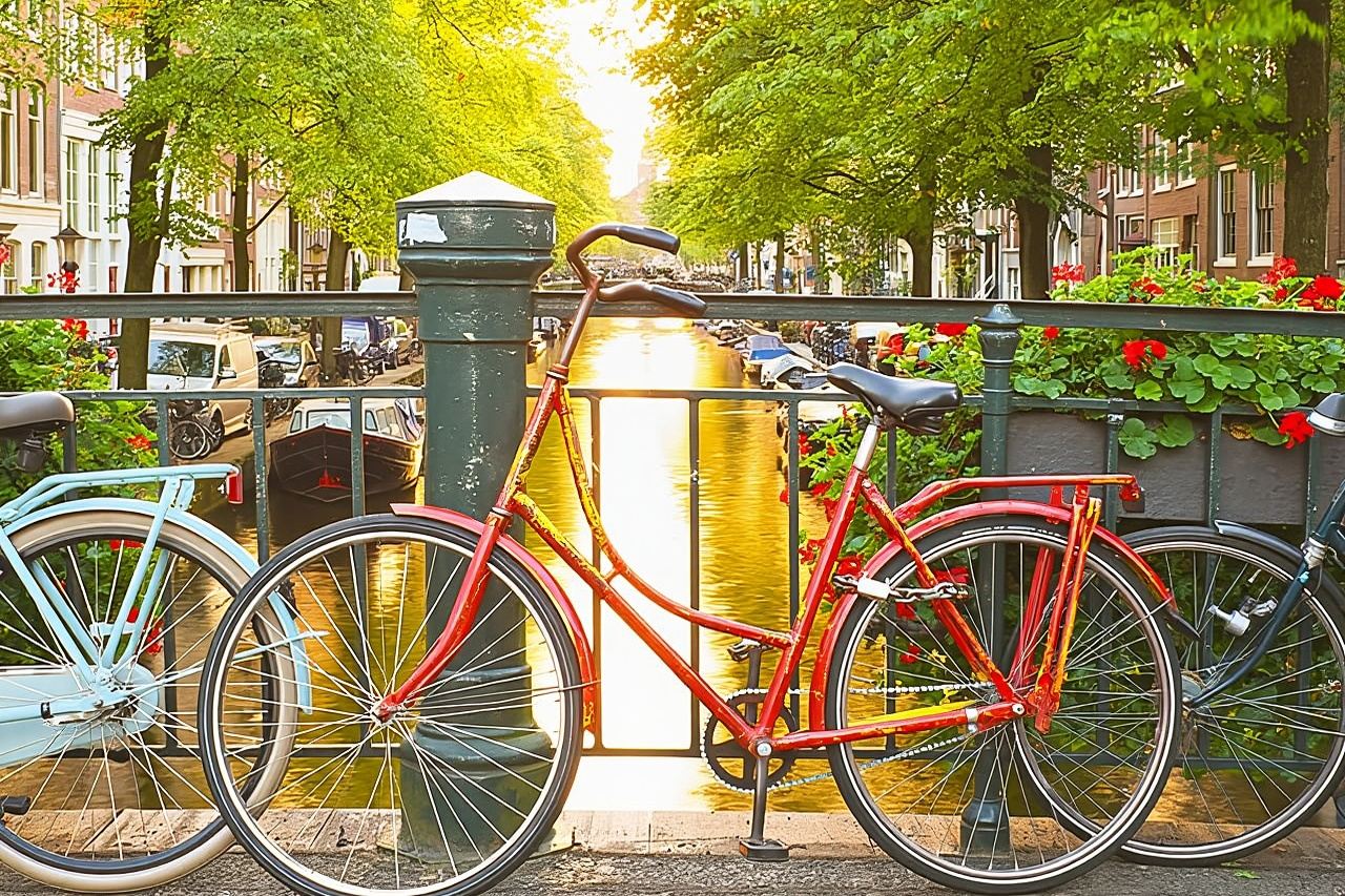 Amsterdam City Center Guided Walking Tour - 12 guests 2,5h