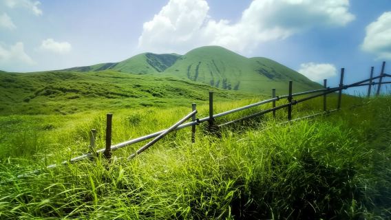 日本九州-熊本來回-大分海之卵水族館-春日神社-大分精品遊