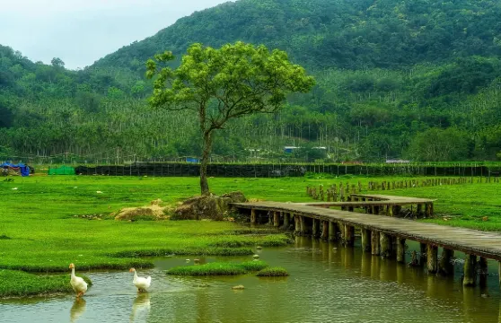 【自貿港商務管家】海口專業翻譯+專車禮賓+靈活行程！會議考察、投資對接，深耕自貿港，助您對接海南機遇