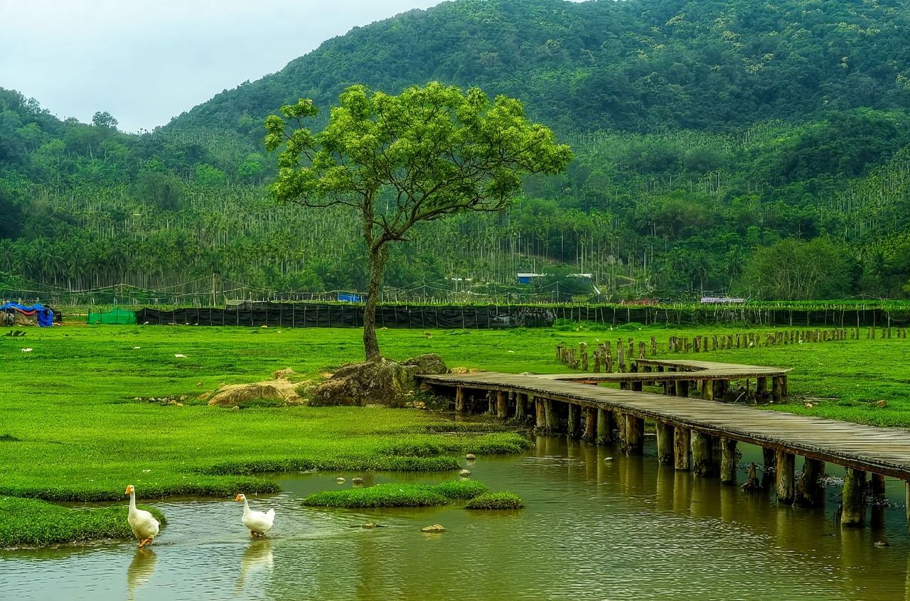 [Free Trade Port Business Concierge] Haikou professional translation + dedicated car service + flexible itinerary! For meetings, inspections, and investment matchmaking, we specialize in the Free Trade Port to help you connect with Hainan's opportunities.