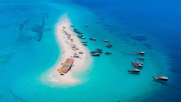 Zanzibar : Excursion d'une journée à Prison Island, banc de sable de Nakupenda et transfert