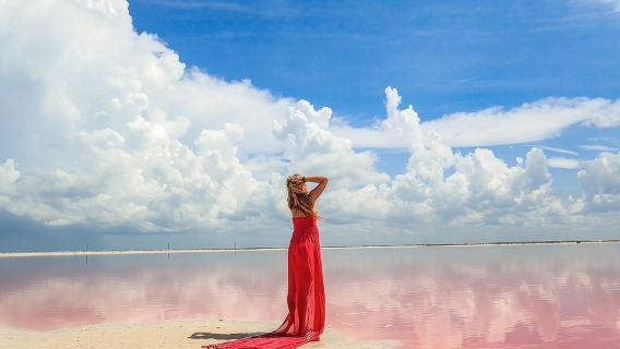 Cancun-Playa Las Coloradas and Flamingo Habitat round-trip private charter day tour with Chinese/English-speaking driver