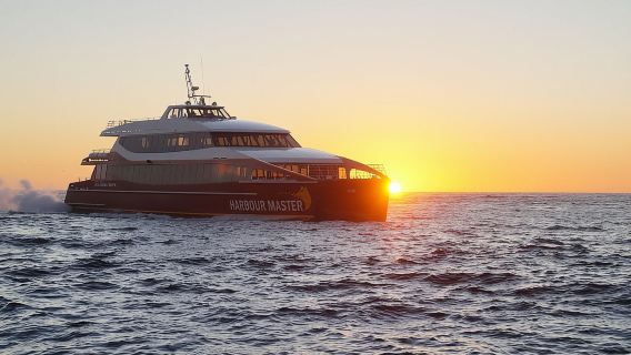 Afternoon Gordon River Dinner Cruise