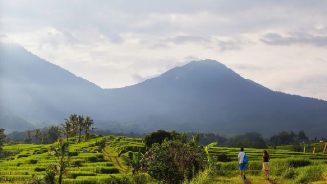 Penterjemahan profesional di Jakarta, Indonesia|pemandu pelancong tempatan|Temani lawatan perniagaan|Terjemahan Pameran|Perkhidmatan lawatan bebas|Perancangan Perjalanan Tersuai