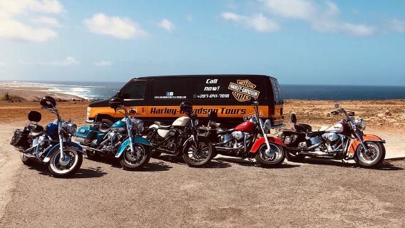 Harley-Davidson RENTALS ONLY 8 hrs