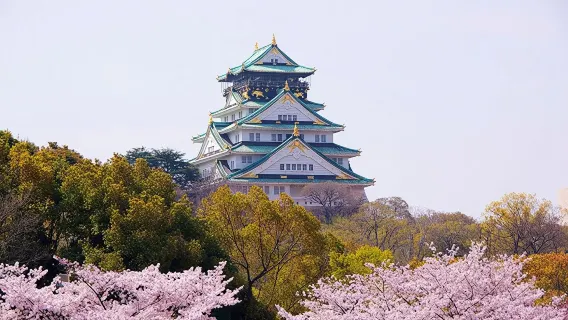 [Billete oficial] JR PASS Pase de tren de 1/2/3/4 días para la región de Kansai, Japón - vale de canje electrónico (incluye HARUKA, trenes Keihan, ferrocarril Hankyu y metro de Kioto)