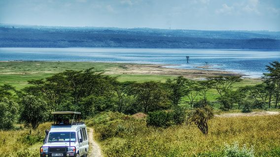 Full Day Lake Nakuru Park and optional boat ride on Lake Naivasha
