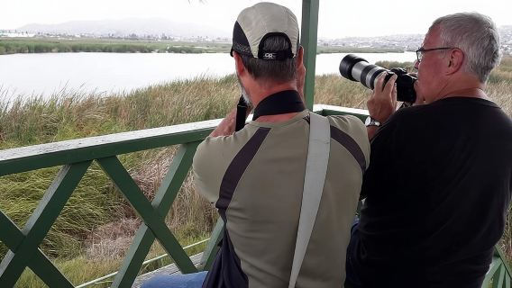 Pantanos de Villa Wildlife Refuge Tour in Lima