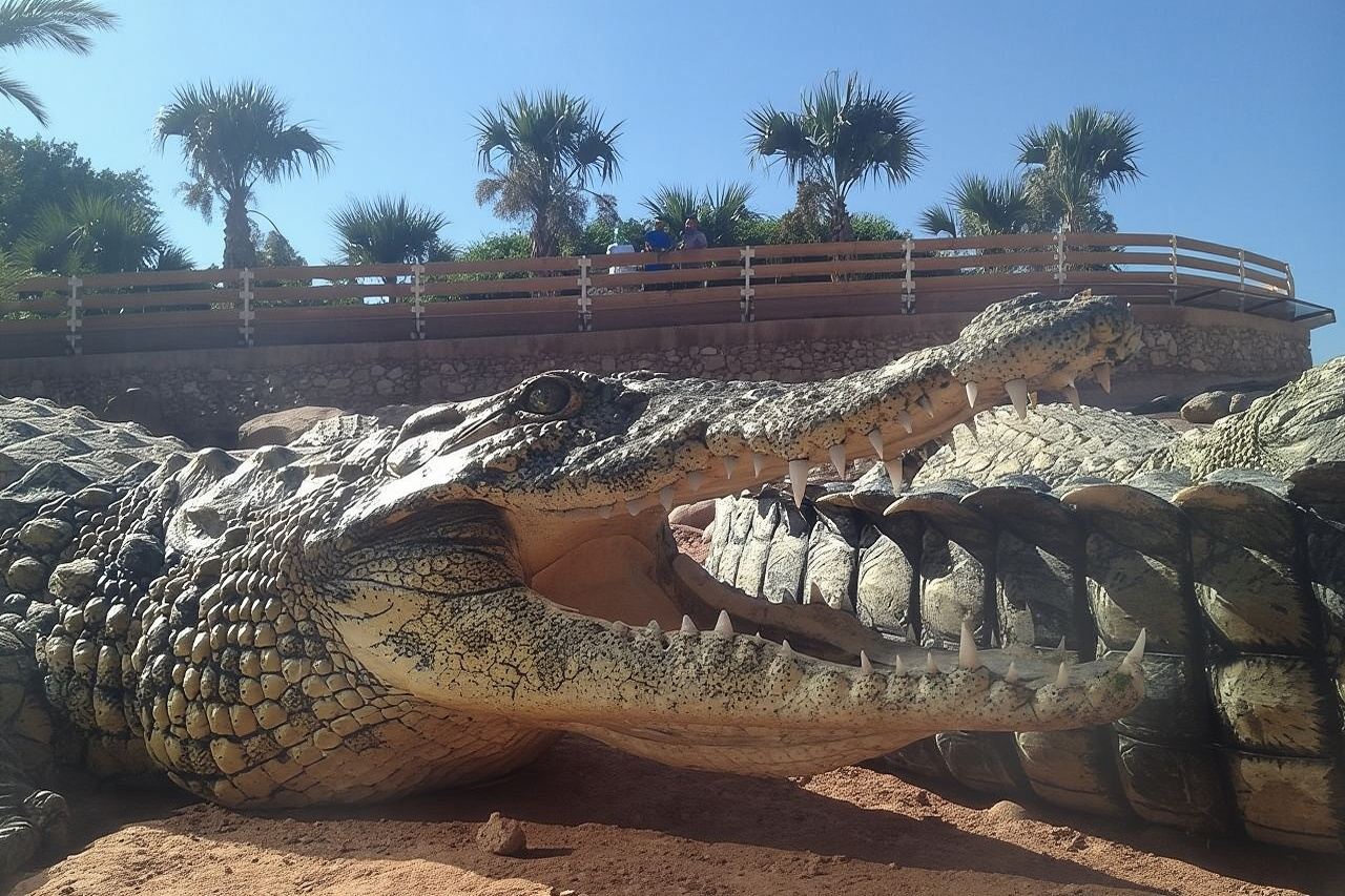  Agadir Crocoparc con traslado y entrada
