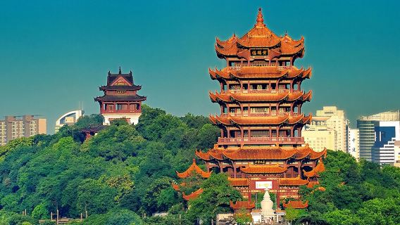 湖北省博物館+黃鶴樓+武漢大學+東湖生態旅遊風景區+武漢長江大橋一日遊