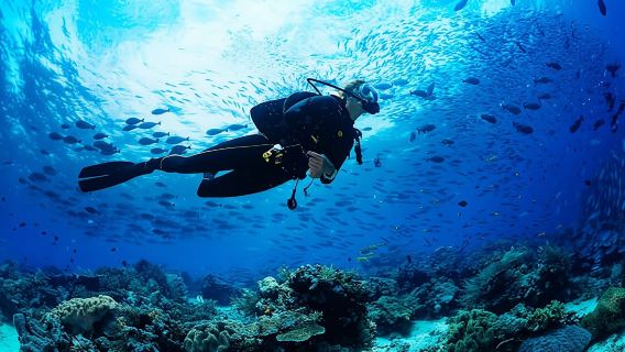 Zanzibar diving experiences from the North coast