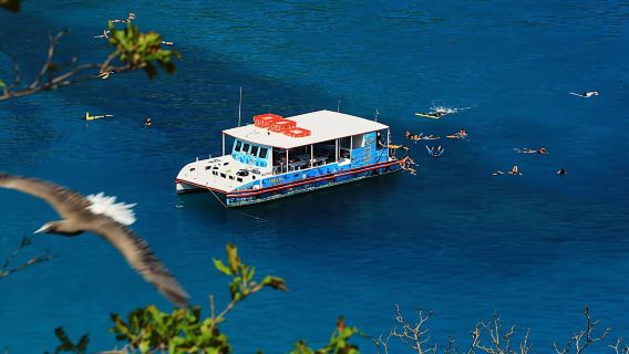 Fernando de Noronha cruise