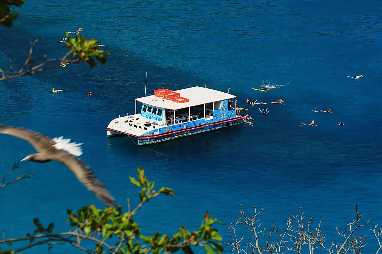 Fernando de Noronha cruise