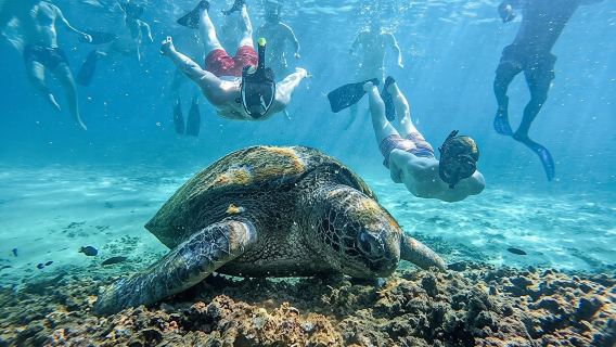 Koh Nangyuan and Hidden Bays Snorkeling Tour with Lunch from Kho Tao